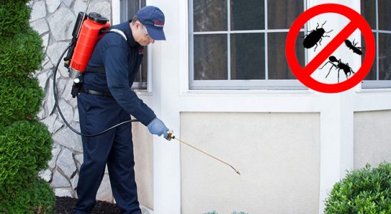 Yamanlar Kene İlaçlama böcek ilaçlama ve haşere kontrolü — ilaclama-tr.com